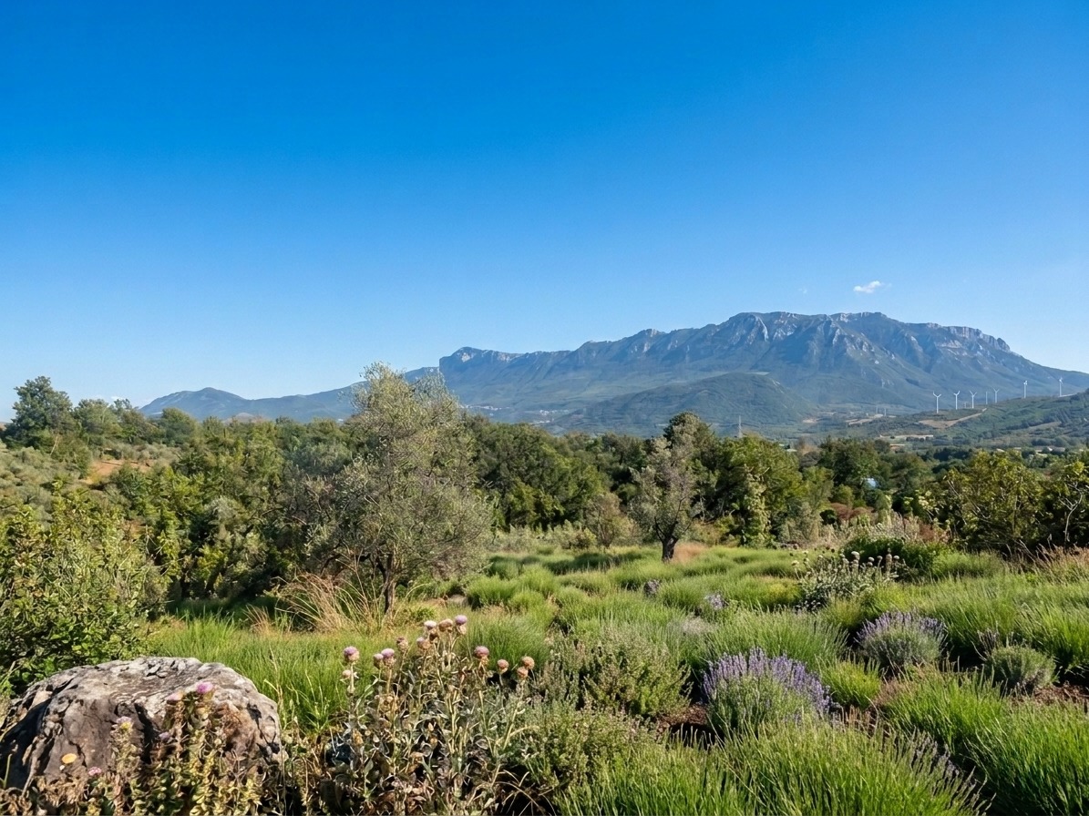 Appartamento Piccolo — foto 2, B&B Villa Mani